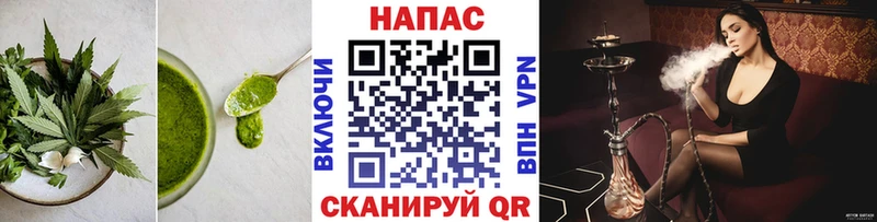darknet телеграм  Кубинка  Cannafood марихуана 