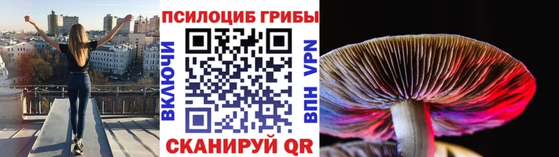 Псилоцибиновые грибы прущие грибы  Кубинка 
